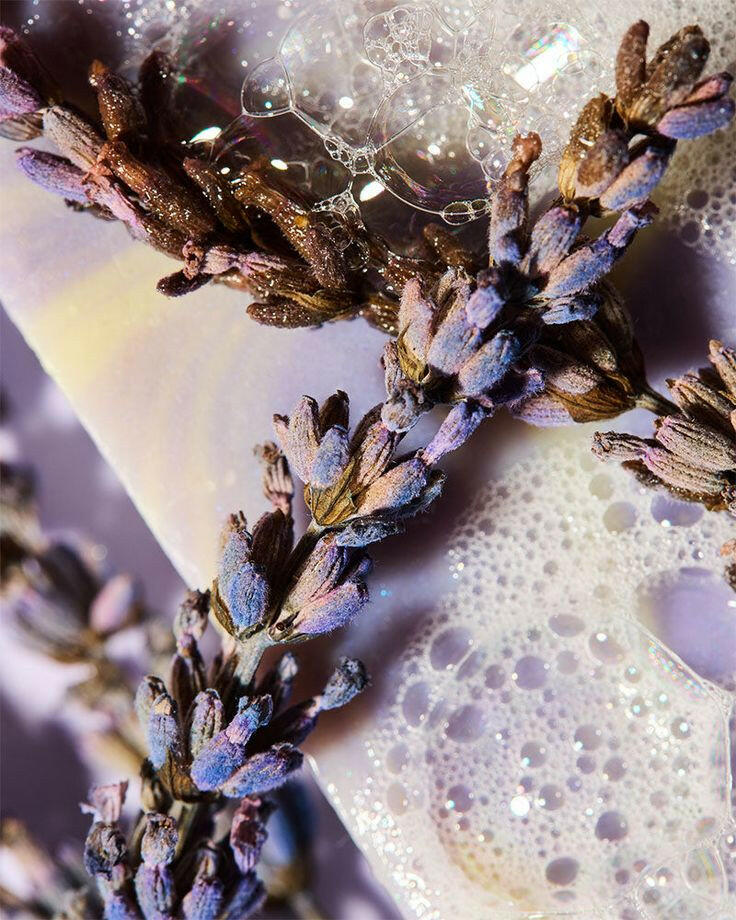 Gel Douche Lavender Trip