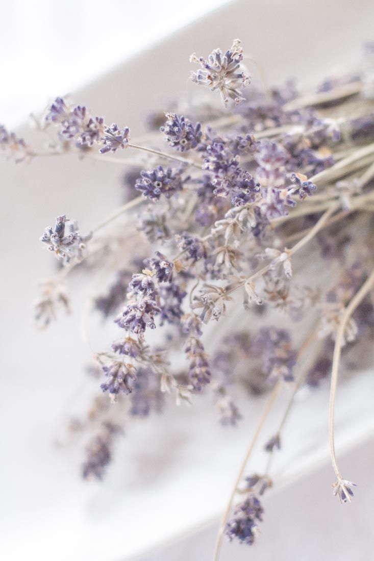 Lavender Trip Soap